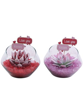 ECHEV ÜVEG EXTRA VALENTIN