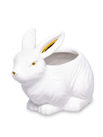 NYUSZI KASPÓ 176317 11-5x15x10