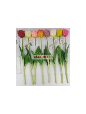 SZÁLAS TULIPÁN 20483