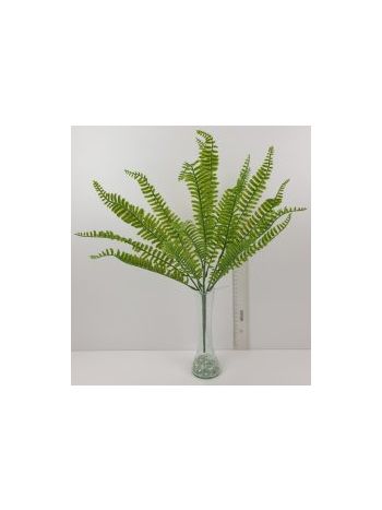 19 ÁGÚ PÁFRÁNY BOKOR 25487