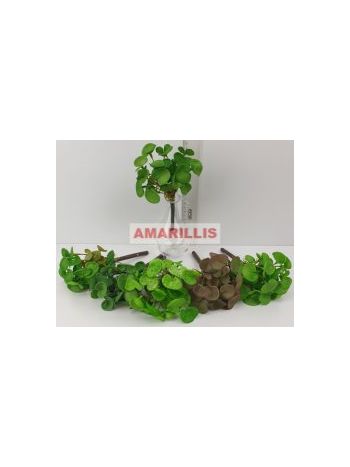 Gumi bokor (36 db/#) 25826