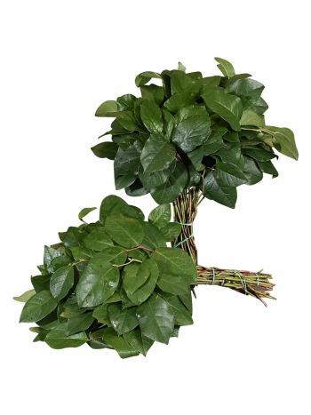 ZO SALAL TIPS