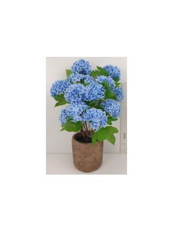 Cserepes hortenzia (H750) 28090