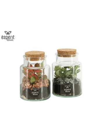 TERRARIUM MIX 7 CM