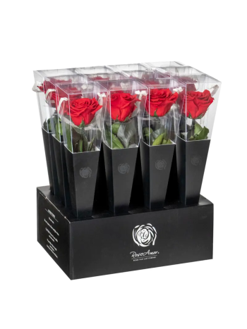 ZZ A TARTÓSRÓZSA  LORI RED 02 30CM