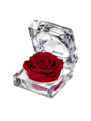 ZZ A TARTÓSRÓZSA JEWEL RED 01