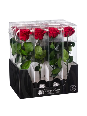 ZZ A TARTÓSRÓZSA DISPLAY RED 01 30CM