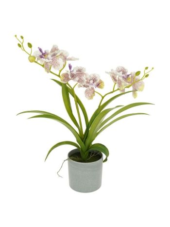 Selyemvirág orchidea- Vanda 2 ágú- kaspóban műanyag 39 cm fehér- lila
