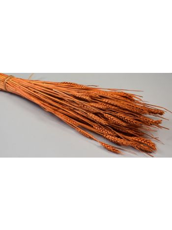 Búza tar 150g feh.narancs