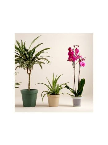 Fa Fiók Kallantyús 2 Szín 140-W-22-12 - 26*11-5*H10cm (24/#)