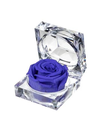 ZZ A TART&Oacute;SR&Oacute;ZSA JEWEL VIO01