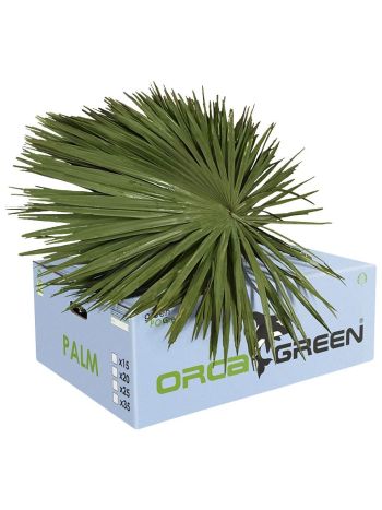 ZO PALM *25