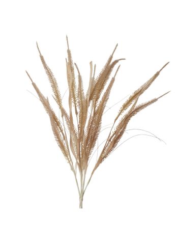 Natúr növény köteg- 5 szálas- 50cm magas