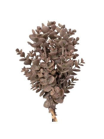 Eukaliptusz ág köteg- 5 szálas- 39cm magas