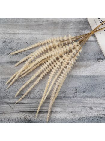 Zsálya köteg- 6 szálas- 50cm magas - Bézs