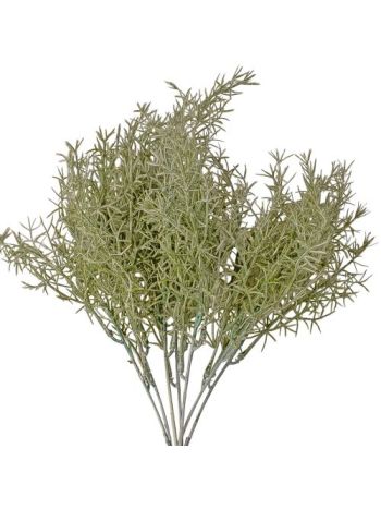 Hamvas aszparágusz csokor- 35cm magas- 7 ágú