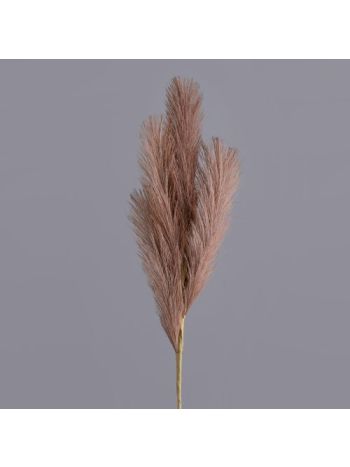 4 ágú pampafű ág- 58cm magas - Barna