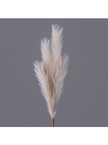 4 ágú pampafű ág- 58cm magas - Bézs