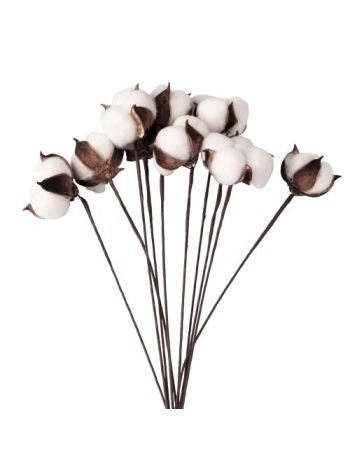 Gyapot dekor ág köteg- 10 szál- 44cm magas