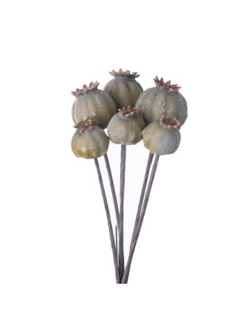 Mák dekor ág köteg- 25cm magas- 6 szál - Zöld