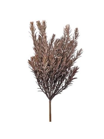 Vízfű műnövény ág- 35cm magas - Világosbarna