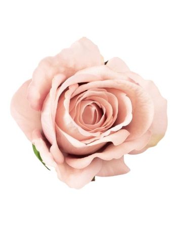 Bársony rózsafej- 8cm - Pezsgő AF122-04 12db/csomag