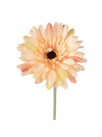 Gerbera selyemvirág szál- magasság: 55cm- virágfej átmérő: 10cm - Barack