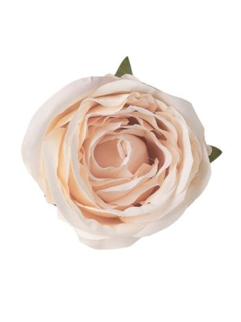 Peónia selyemvirág fej- 5.5cm - Világos pezsgő