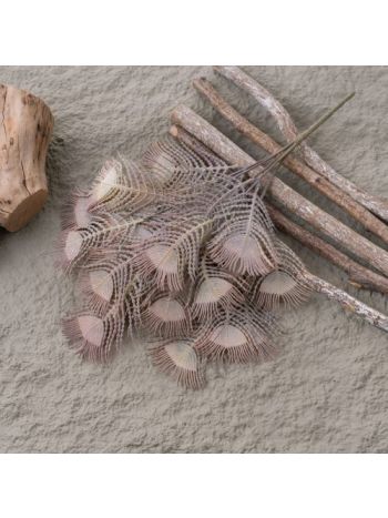 Pávatoll csokor- 37cm magas - Barnás zöld