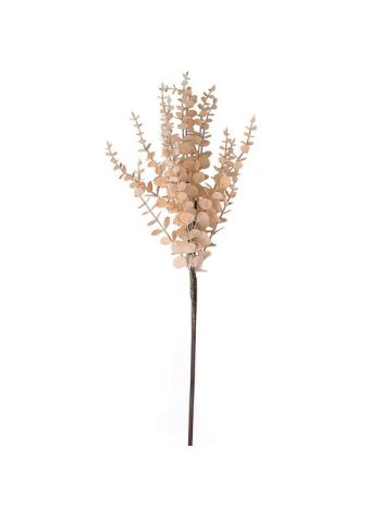 Eukaliptusz ág- 76cm magas - Bézs