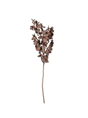Eukaliptusz ág- 44cm magas - Sötét barna