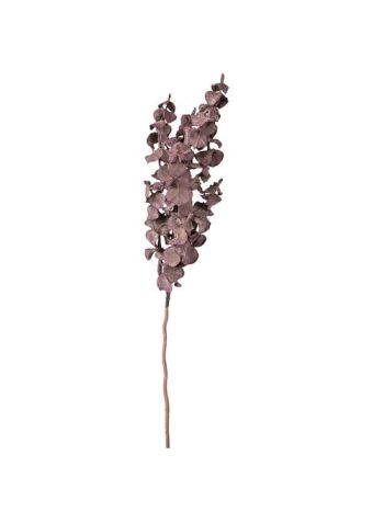 Eukaliptusz ág- 44cm magas - Sötétlila