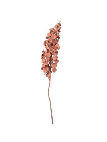 Eukaliptusz ág- 44cm magas - Púder barna