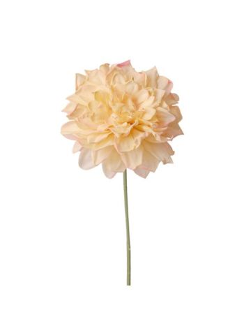Dália selyemvirág szál- 28.5cm magas - Pezsgő