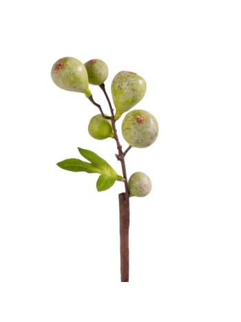 Füge ág- 39cm magas - Zöld