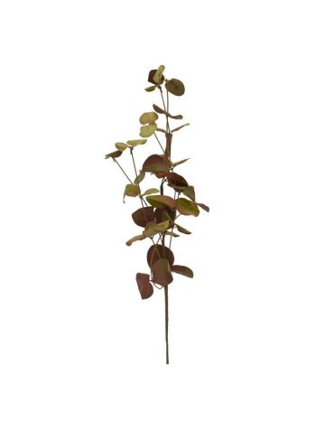 Ág leveles- 56 cm- barna- zöld  SSS