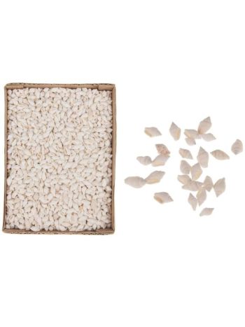 Csiga dobozban 15x20x6cm fehér