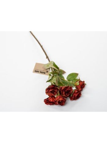 Rózsaág 6 virág 49cm piros D20302253232