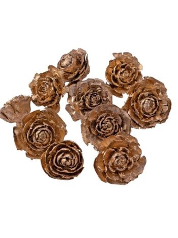 Cédrus rózsa 3-5cm 10db/csom - Pezsgő