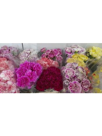 DI ST SELECT MIX - COL