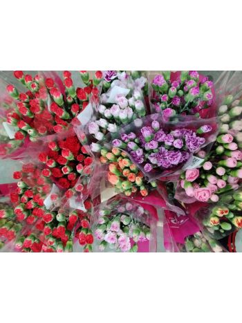 DI TR SELECT MIX - COL