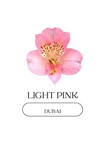ALST  EC PE DUBAI