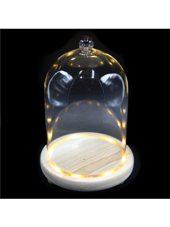 ÜVEGBÚRA+TALP LEDES 1/24 23x14 cm