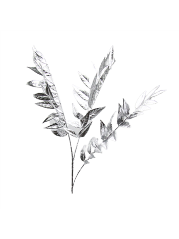 ÁG EZÜST 36/360 90 cm