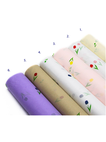 SELYEMPAPÍR 28 DB 1/100 50x70 cm 6 SZÍNBEN