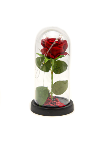 RÓZSA ÜVEGBÚRÁBAN LEDES 1/60 11x21 cm PIROS BÁRSONY