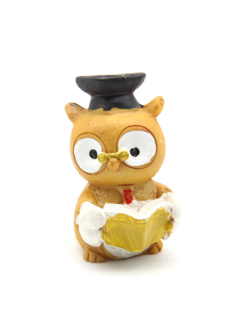 BAGOLY BALLAGÓ KÖNYVVEL 8/960 5x3-5 cm