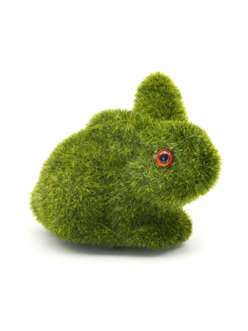 NYUSZI ZÖLD 1/480 10x7-5 cm