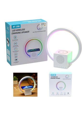 LÁMPA-TÖLTŐ-HANGSZÓRÓ 1/20 20x21 cm ES09383