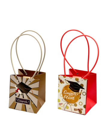 VIRÁGTASAK BALLAGÓS 10/500 13x12x15 cm 2 FÉLE